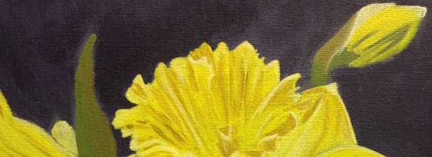 painted daffodils