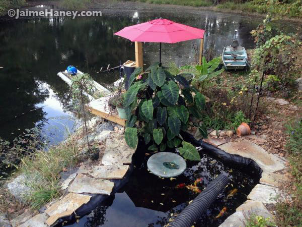 The "before" photo of the koi pond with plain upcycled plastic patio table top
