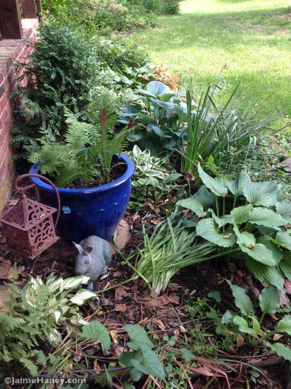 shade garden with blue glazed ceramic pot